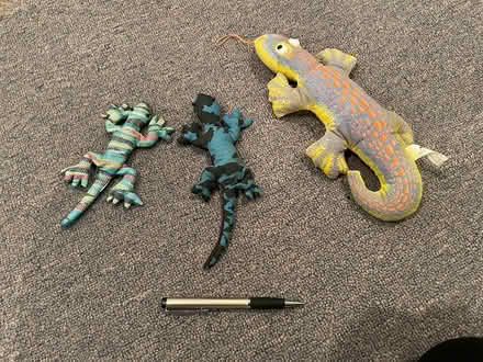 Photo of free Geckos (Hunt Club Park) #1