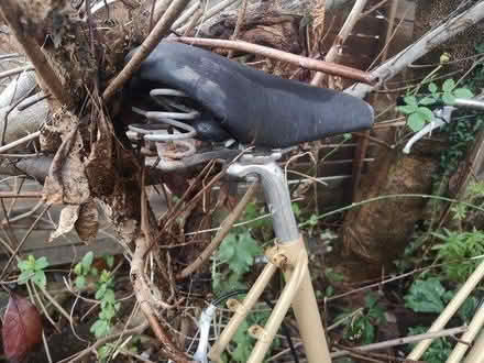 Photo of free Steel framed bike (BA11 Frome) #1