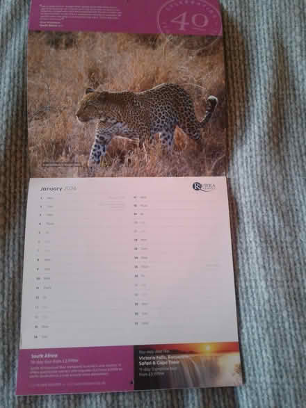 Photo of free 2024 wall calender (London Fields, E8) #1