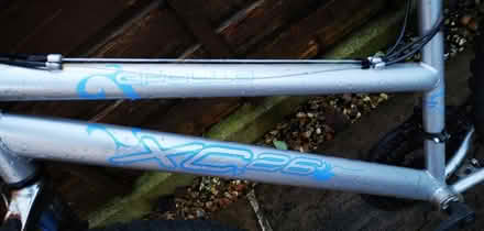Photo of free Ladies/tennage bike (Macclesfield) #2