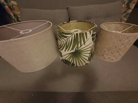 Photo of free Three lampshades (as a bundle) (Mickleover DE3) #2