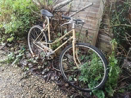 Photo of free Steel framed bike (BA11 Frome) #2