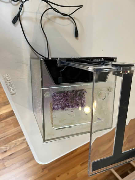 Photo of free 2 gallon fish tank (Potomac - Falls and Democracy) #3