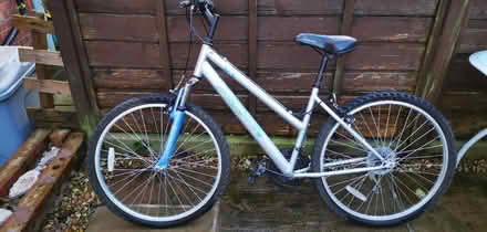 Photo of free Ladies/tennage bike (Macclesfield) #1