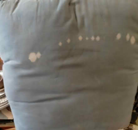 Photo of free Two large cushions 24/24 inches .Suitable for pet bedding (Vogue TR16) #1