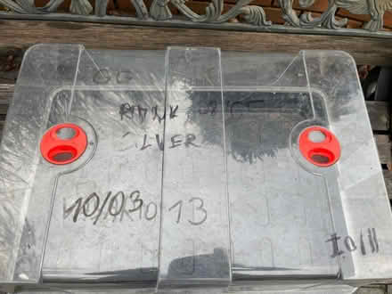 Photo of free 3 large high domed propagators (Kings Heath) #3