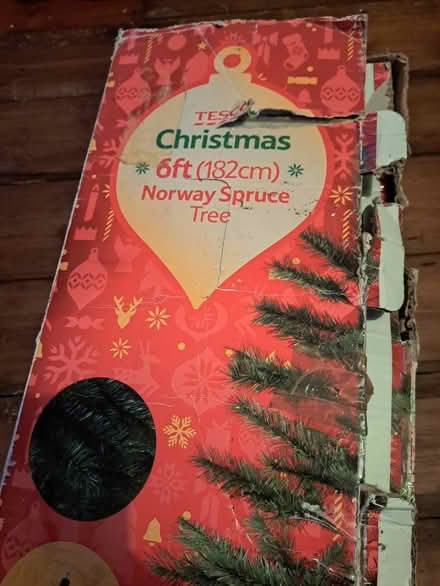 Photo of free Artificial Christmas Tree (Seaside BN22) #1