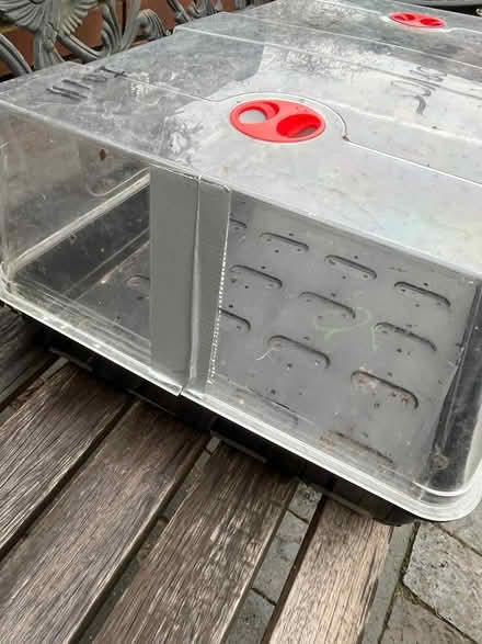 Photo of free 3 large high domed propagators (Kings Heath) #4