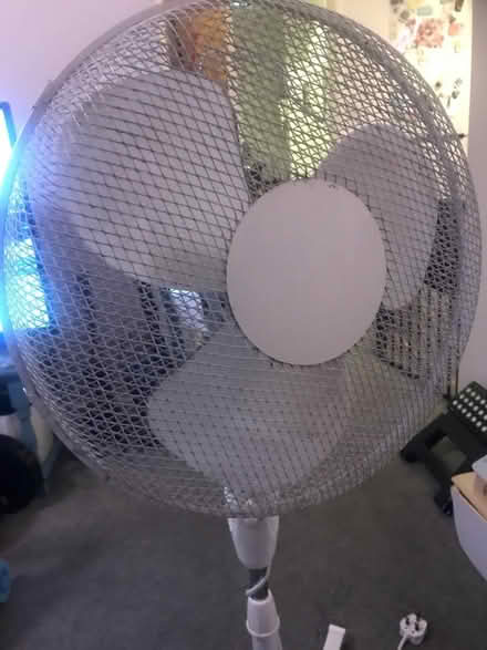 Photo of free Large stand up fan (Hampton Hill) #1