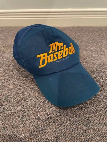 Photo of free Baseball cap (Hunt Club Park) #1