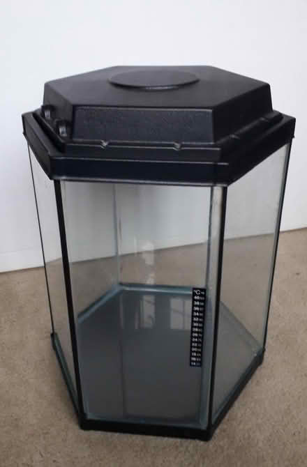Photo of free Hexagonal Glass Fish Tank/Aquarium (DA5) #1