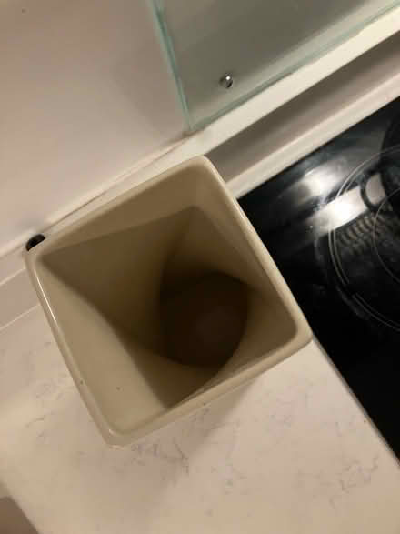 Photo of free Cream pottery vase (BR1) #1