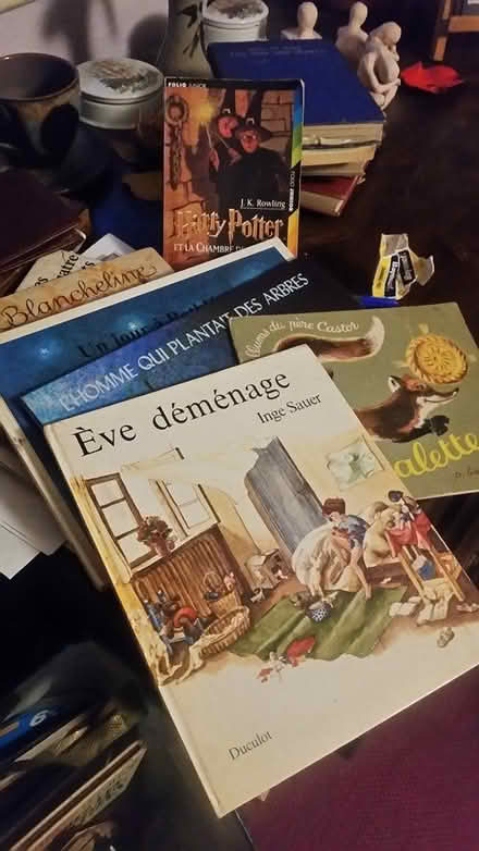 Photo of free Box of French books (Dartington) #1