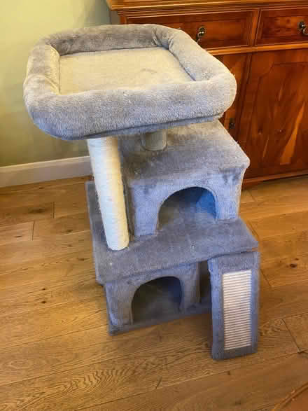Photo of free Cat Tree (HP16) #1
