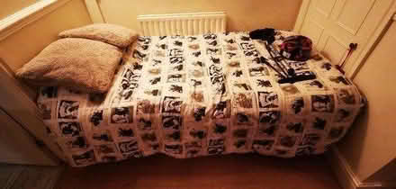 Photo of free Single put up bed (Macclesfield) #2