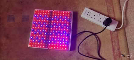 Photo of free LED Grow Lights Hydroponic Full Spectrum Plant Lamp (North Hinksey OX2) #1