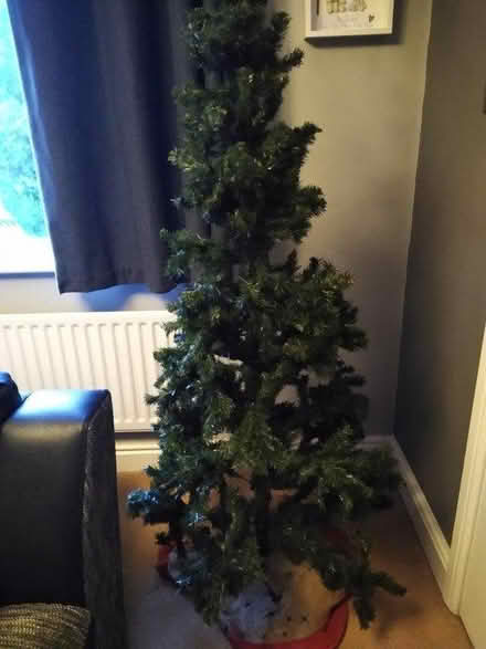 Photo of free Christmas tree (DE56 Heage, Belper) #1