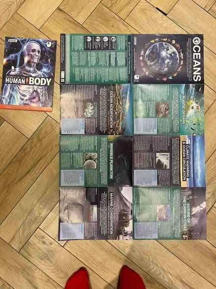 Photo of free Educational posters, ocean and human body (Ecclesfield S35) #3