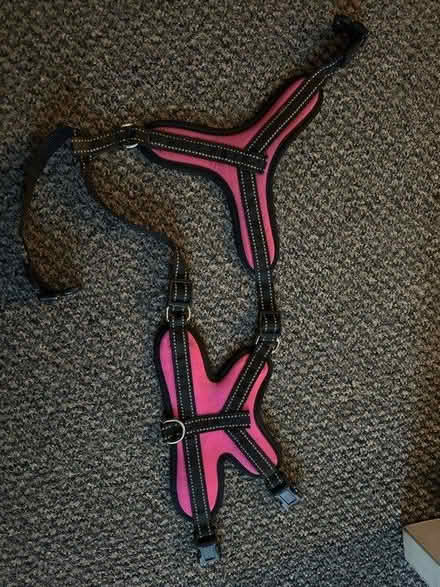 Photo of free Pink dog harness S/M (Madeley / CW3) #1