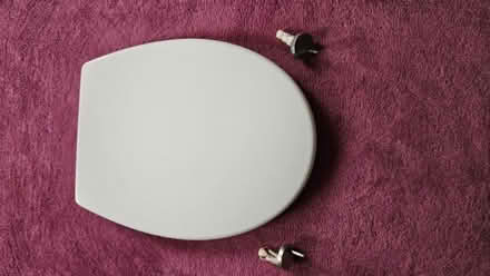 Photo of free Toilet Seat (West Green N17) #2