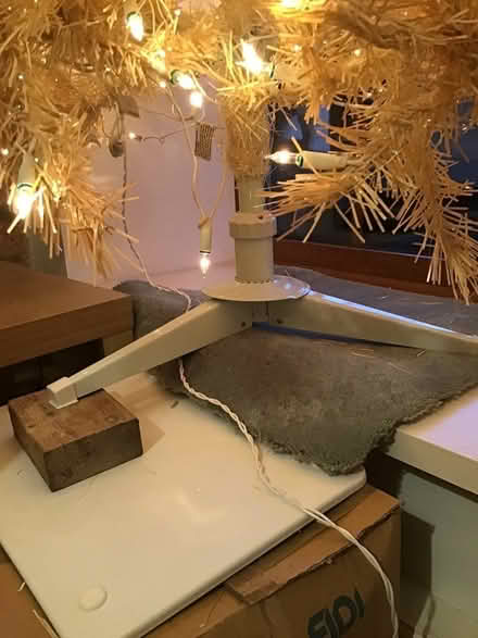 Photo of free Christmas tree (Ambergate) #4