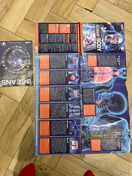 Photo of free Educational posters, ocean and human body (Ecclesfield S35) #1