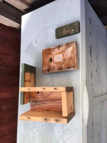 Photo of free Bird nesting box (West Moors BH22) #2