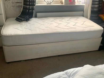 Photo of free Single bed (WF2 8) #1