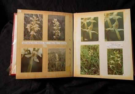 Photo of free 11 Photo Albums with photos (SE4 Brockley) #1