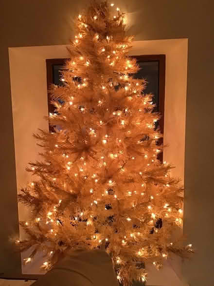 Photo of free Christmas tree (Ambergate) #3