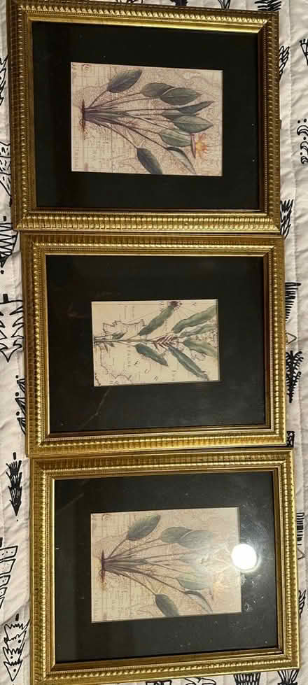 Photo of free Set of three prints (Norland Ave, Chbg) #1