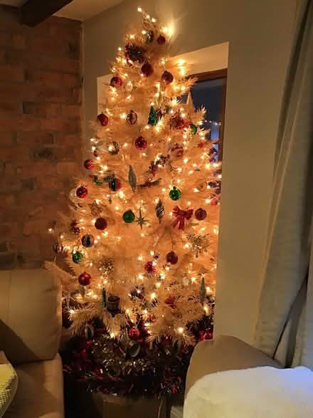 Photo of free Christmas tree (Ambergate) #1
