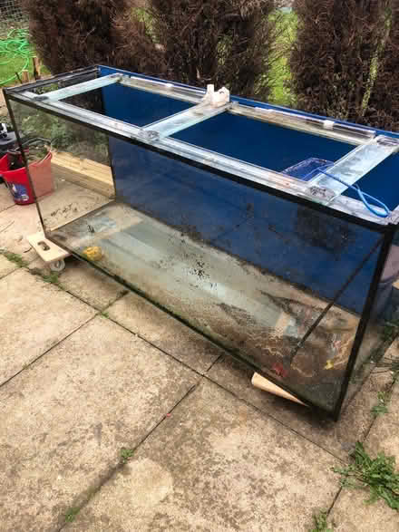 Photo of free Fish tank (SG17 shefford) #3