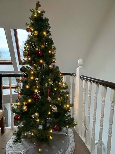 Photo of free Prelit Xmas tree (Putney Hill SW15) #1