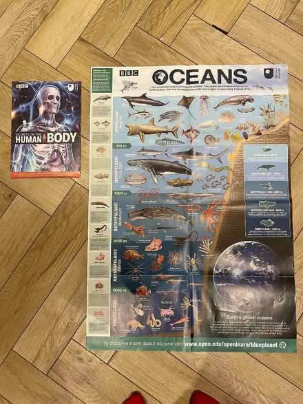 Photo of free Educational posters, ocean and human body (Ecclesfield S35) #2