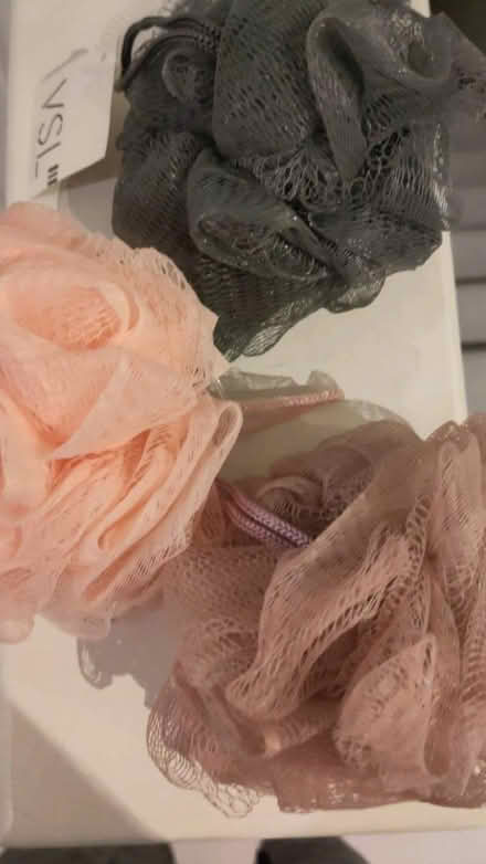 Photo of free Loofah sponges (Clifton BS8) #1