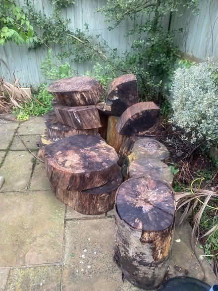 Photo of free Wood (Kenilworth CV8) #1