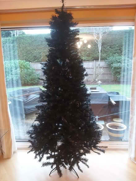 Photo of free Artficial Christmas Tree (St Pauls Ward GU15) #2
