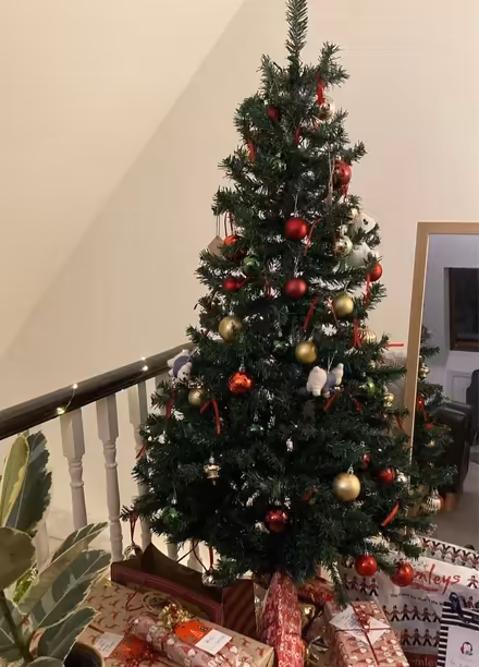 Photo of free Dunelm 6ft Xmas Tree (Putney Hill SW15) #1