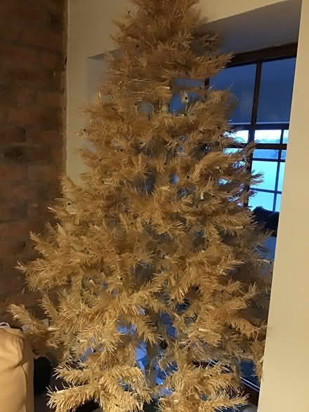 Photo of free Christmas tree (Ambergate) #2
