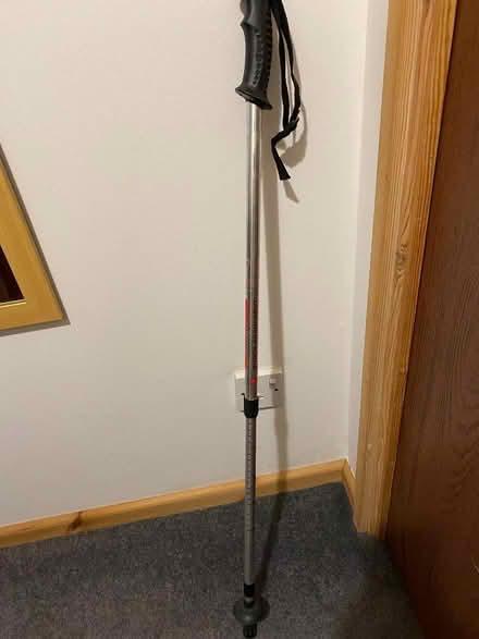 Photo of free single walking pole (Cogges OX28) #1