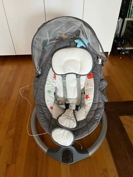 Photo of free Baby swing and bouncer (Hurley NY) #2