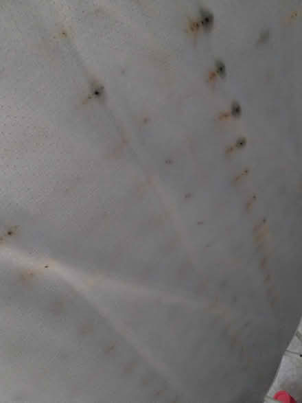 Photo of free Double bed (Burntwood) #3
