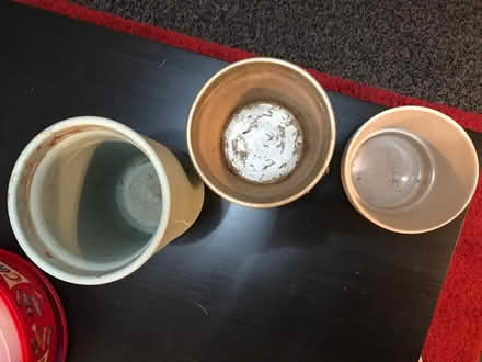 Photo of free 3 plant pots (Carshalton SM5) #2
