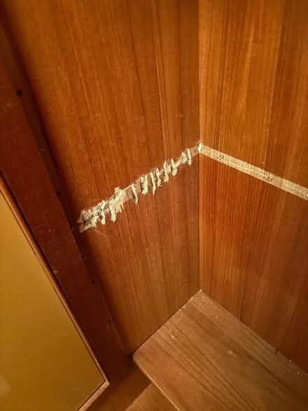 Photo of free Mid Century Unit (Kew Gardens TW9) #3