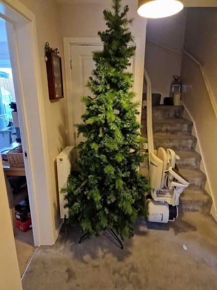 Photo of free 8ft artificial Christmas tree (Royston SG8) #1