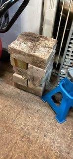 Photo of free Concrete froggy bricks (paignton) #1