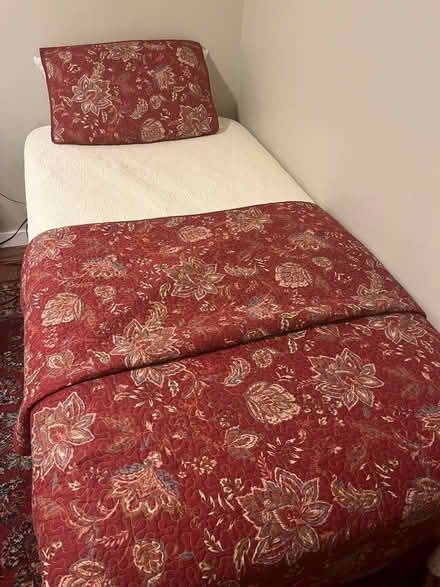 Photo of free Single Bed (San Carlos) #3
