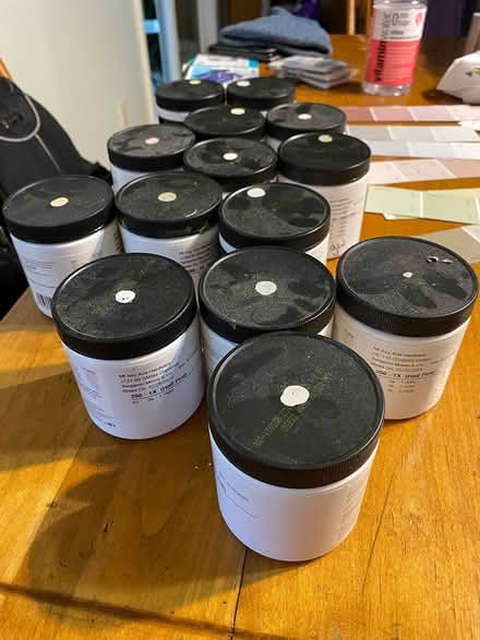 Photo of free Half pint paint samples (Woodbine) #1