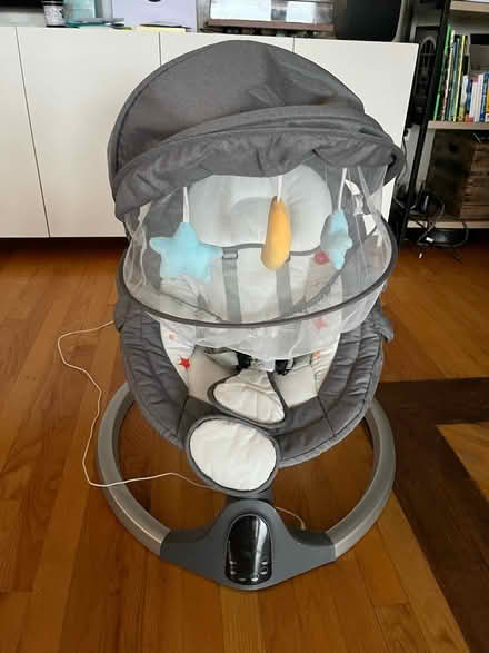 Photo of free Baby swing and bouncer (Hurley NY) #1